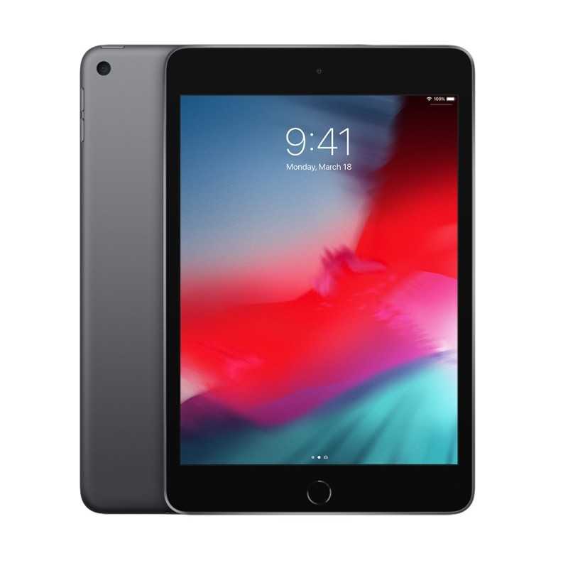 🔥Offerta! iPad Mini Wifi 256GB Grigio💥