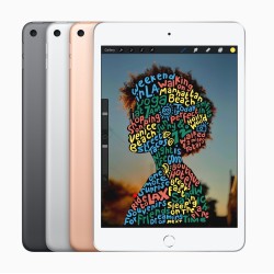 🔥Offerta! iPad Mini Wifi 256GB Grigio💥